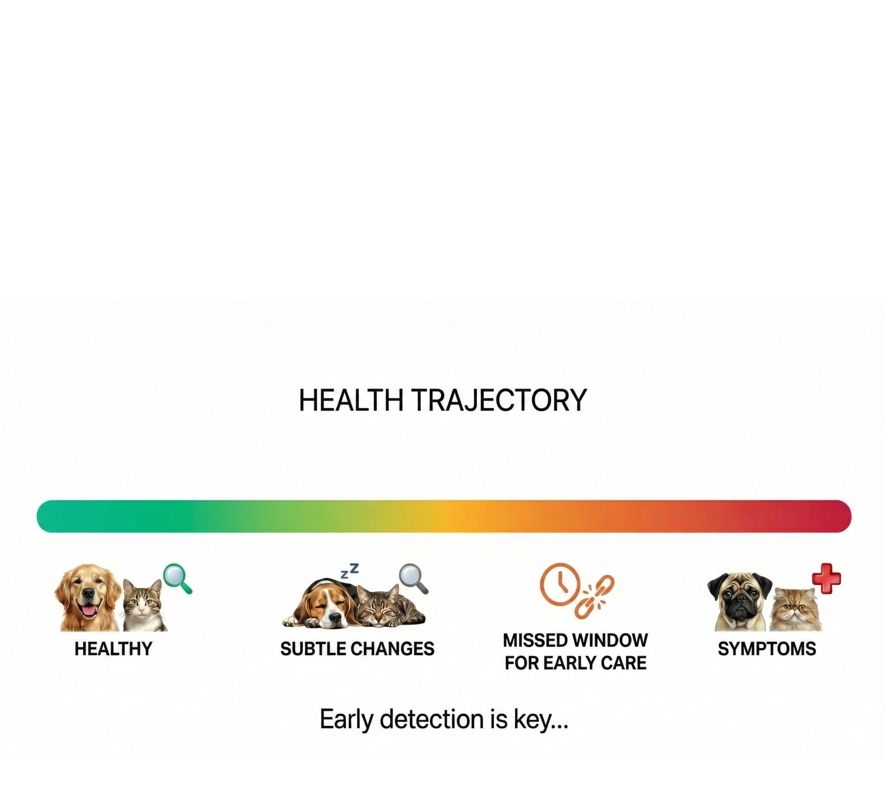 Health trajectory